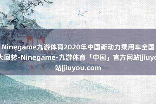 Ninegame九游体育2020年中国新动力乘用车全国份额较大回转-Ninegame-九游体育「中国」官方网站|jiuyou.com