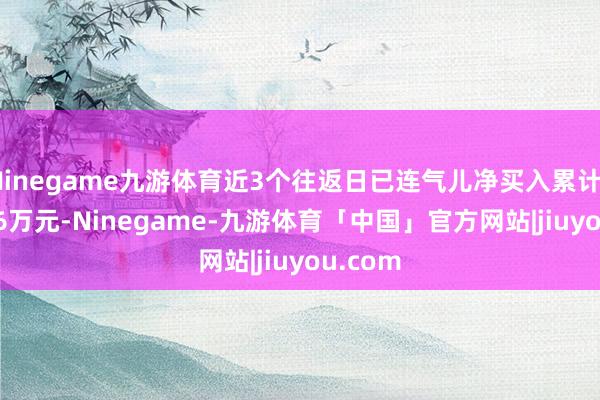 Ninegame九游体育近3个往返日已连气儿净买入累计3110.76万元-Ninegame-九游体育「中国」官方网站|jiuyou.com